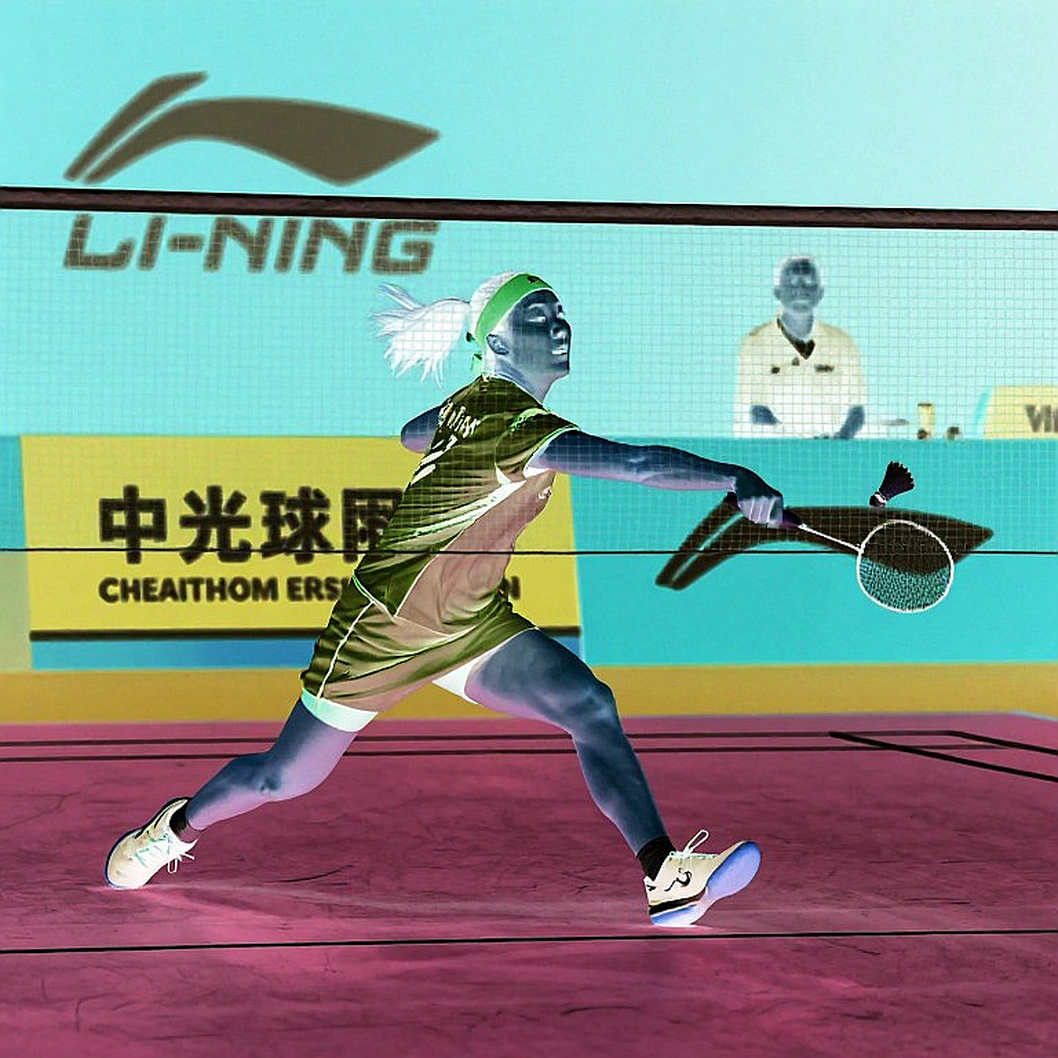 Data Analysis Gaps in Badminton: The Need for Perfect Updates for In-Depth Analysis Data Analysis Gaps in Badminton: The Need for Perfect Updates for In-Depth Analysis