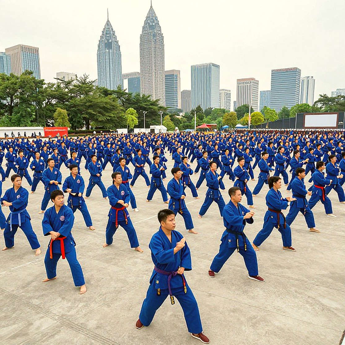When Martial-Arts Data Is Empty: I Refuse to Write a Fabricated Story When Martial-Arts Data Is Empty: I Refuse to Write a Fabricated Story