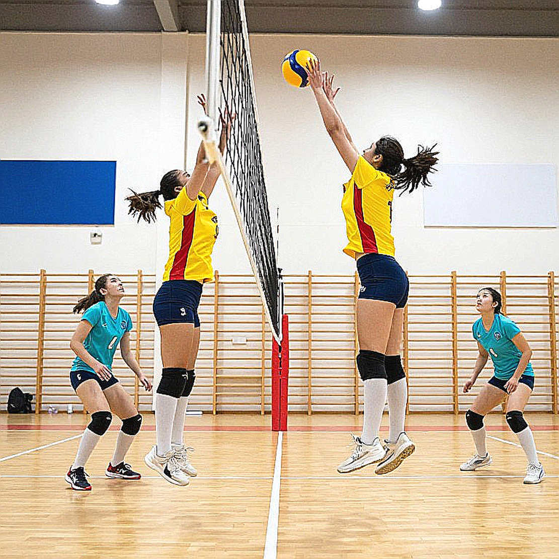 When the Scouting Dossier Comes Back Empty: Data Discipline in the Italian Volleyball Transfer Market When the Scouting Dossier Comes Back Empty: Data Discipline in the Italian Volleyball Transfer Market