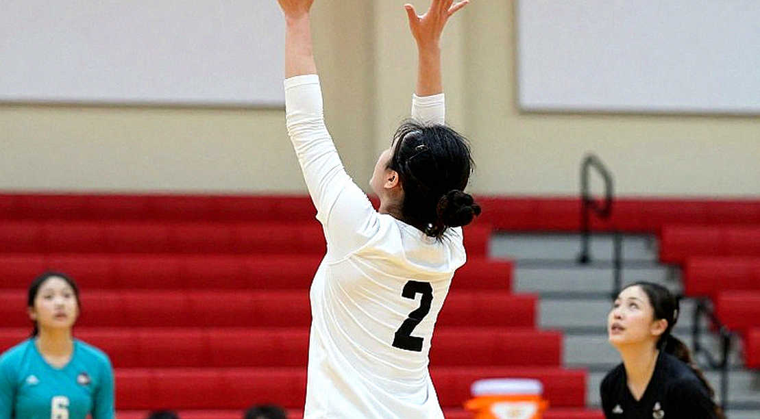 Japanese Volleyball: Behind the 54% Attack Rate Lies a Different Story